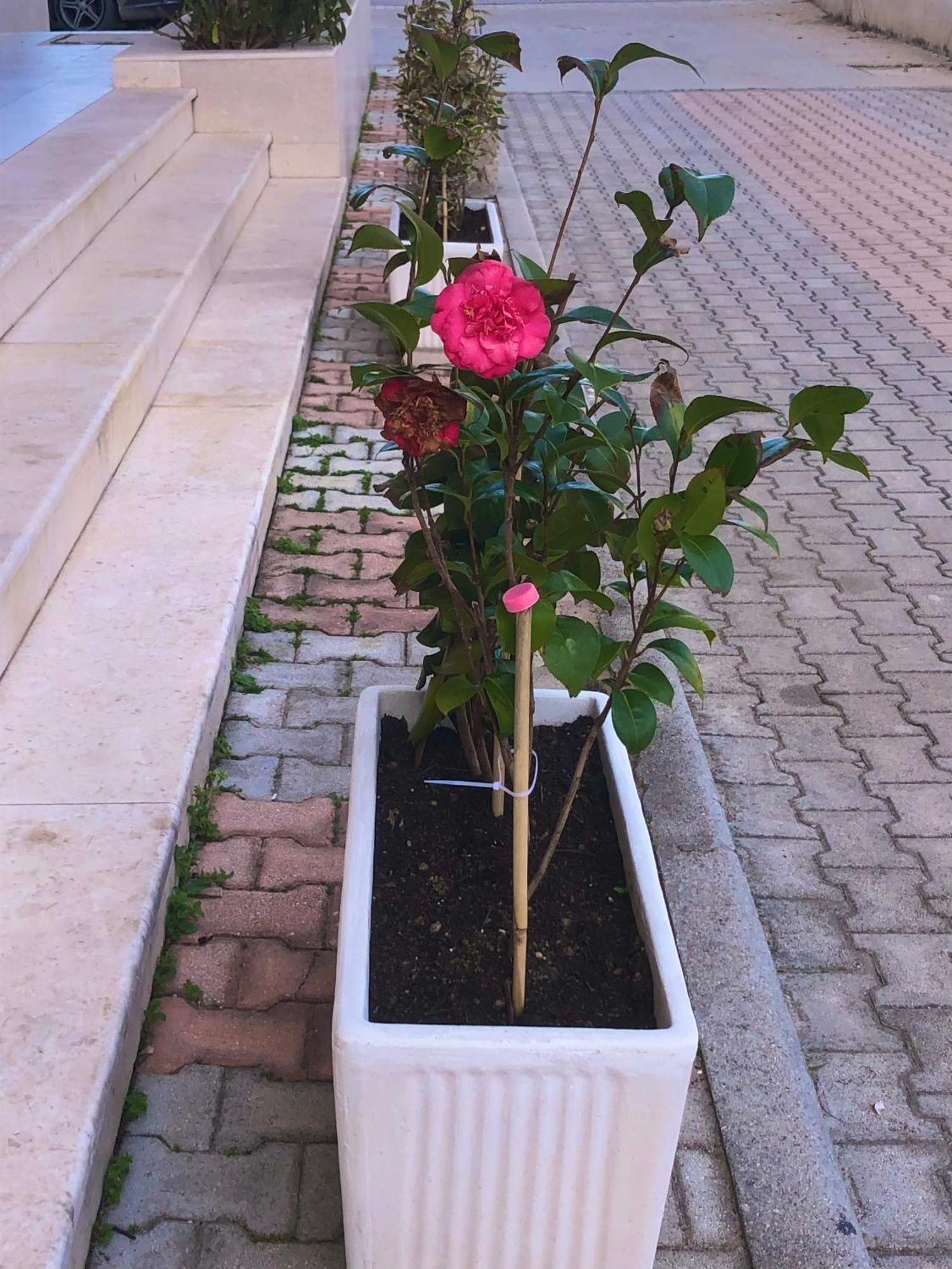 Vlore Apartment Eksteriør bilde